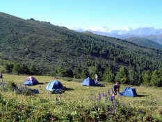 campblue.jpg (73239 bytes)