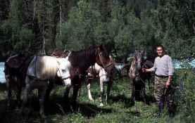 horseman.JPG (51140 bytes)