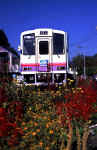 Train with flowers.jpg (48952 bytes)
