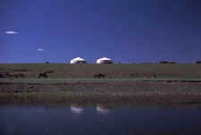 Reflections.jpg (21322 bytes)