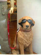 dog_in_sunglasses_shopwindow.JPG (32404 bytes)