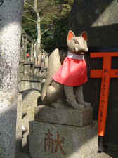 inari_fox_with_bib.JPG (55441 bytes)