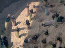 incense_butts_in_sand.JPG (42979 bytes)