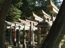 torii_line_thru_trees.JPG (59788 bytes)