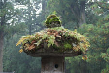 Nikko lantern