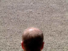 Zenhead.jpg (98103 bytes)
