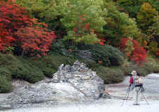 maple_photo.jpg (435095 bytes)