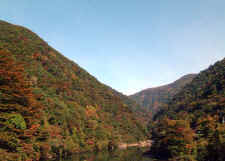 valley.jpg (47641 bytes)