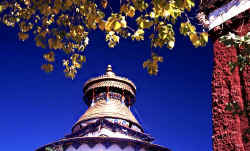 Gyantse stupa.jpg (52276 bytes)