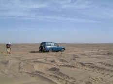 Desert.jpg (30881 bytes)