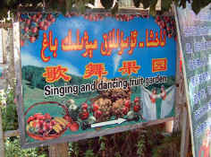 Fruit_garden.jpg (73902 bytes)