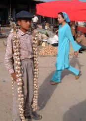 Garlic_seller.jpg (56156 bytes)