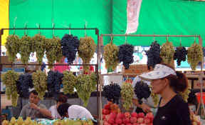 Grapes.jpg (53806 bytes)