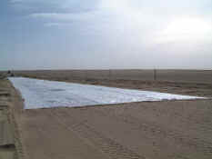 Silk_road.jpg (31157 bytes)