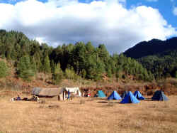 Bumthang_camp.jpg (52724 bytes)