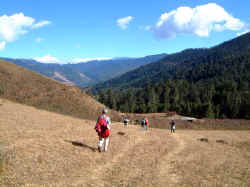 Walking.jpg (48335 bytes)