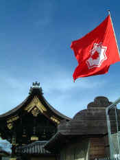 flag.JPG.JPG (38736 bytes)