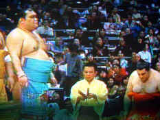 sumo.JPG (57713 bytes)